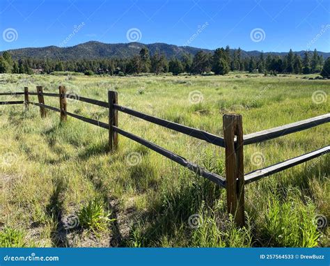 Farm Ranch Wooden Natural Wood Fence Field Farmland Forest Marsh Yard