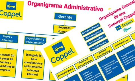 Organigrama General de Coppel 2024 Características Elementos Funciones