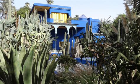 Jardin Majorelle Plantes Jardin Majorelle Guéliz Marrakech