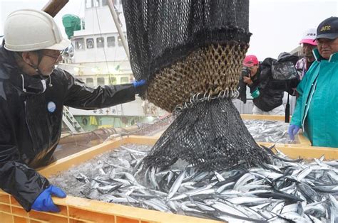 【動画あり】サンマ初水揚げ、既に昨年の4倍 銚子漁港 近年不漁の中「一番良い」 千葉日報オンライン