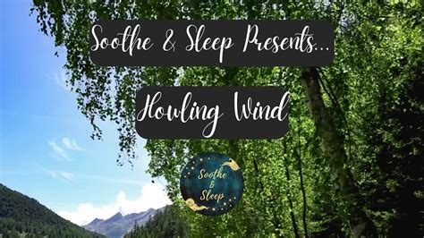 Howling Wind Sounds For Sleeping Wind Blowing Through Trees Help