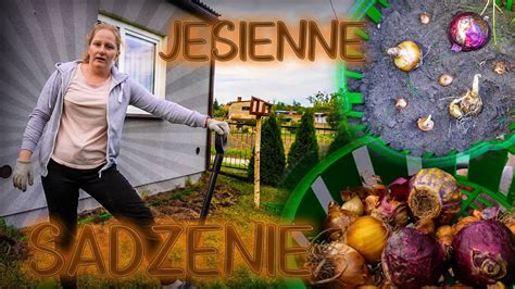 JESIENNE SADZENIE VLOG YouTube