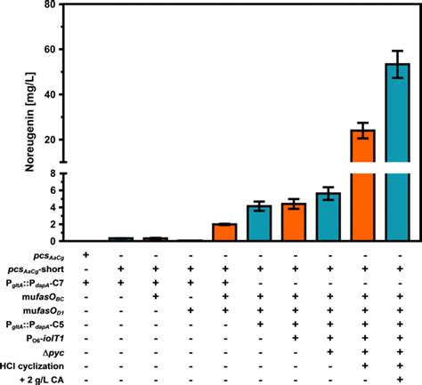 Overview Of The Constructed C Glutamicum Strains For Improved