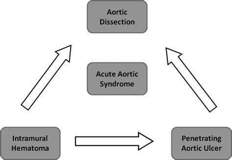 Acute Aortic Syndrome Circulation