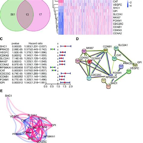 Identification Of Prognostic Cxcr Associated Differentially Expressed