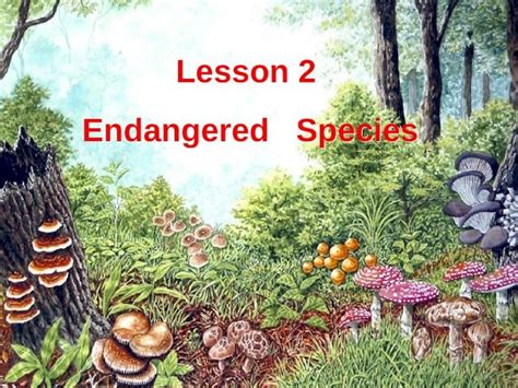 Ppt Lesson Endangered Species Lesson Endangered Species Dokumen