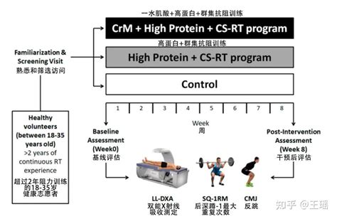 在群集阻力训练中肌酸对下肢身体成分和力量的影响一项初步研究 知乎