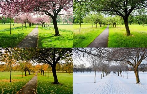 Four seasons photos free download