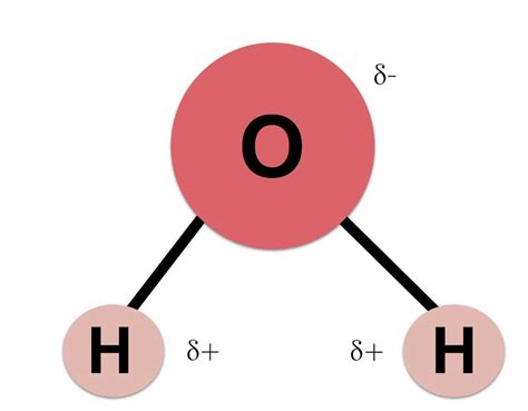 Identifying The Components Of Water Molecules