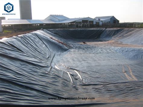 Hdpe Geomembrane Lining Malaysia For Landfill Project Professional