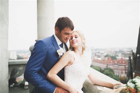 Beijando Os Pares Do Casamento Que Ficam Sobre A Paisagem Bonita Foto