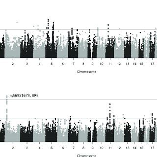 Manhattan Plots For Analyses Of Outcomes In All Subjects Manhattan