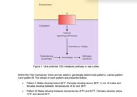 Answered Temperature Dependent Sex Determination Tsd Is The Method