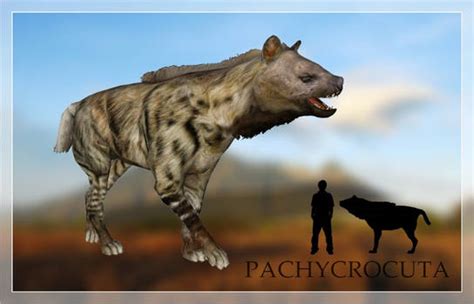 Explore the Best Pachycrocuta Art | DeviantArt