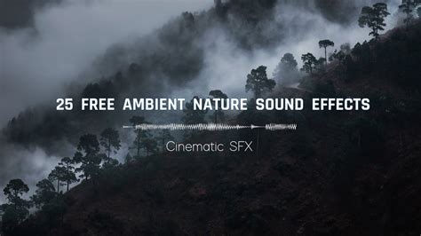 25 Free Ambient Nature Sound Effects Ll Cinematic Sfx Ll No Copyright