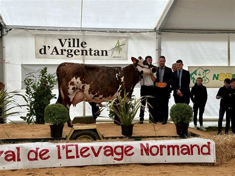 departemental en race normande derniere repetition avant le show de