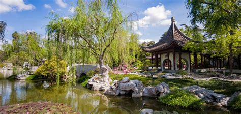 California Botanic Garden: A Thriving Haven for Plant Diversity and ...