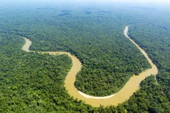 Imagens Floresta Amazônica / Encontre imagens de floresta amazônica.