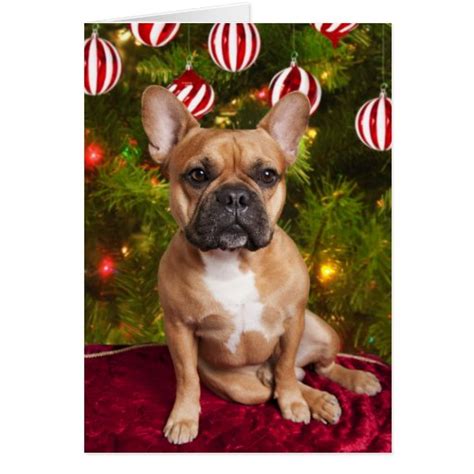 French Bulldog Christmas card | Zazzle