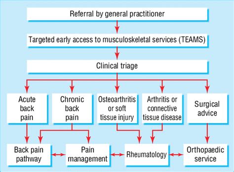 Flow Diagram Showing Clinical Triage Of Patients Referred To Targeted Download Scientific