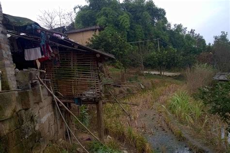 原有宅基地上翻建房屋，需要注意这几点，否则宅基地将被收回！