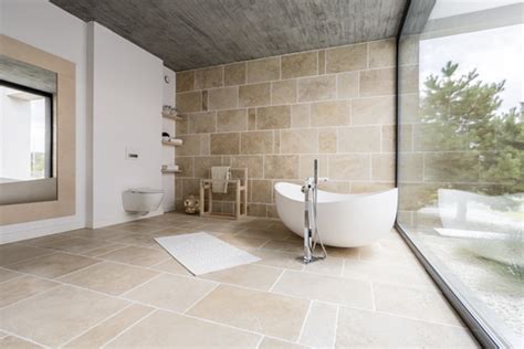 Bathroom Wall And Floor Tiles Color Combination Viewfloor Co