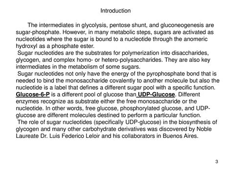 Sugar Nucleotides And Glycogen Metabolism Ppt Download