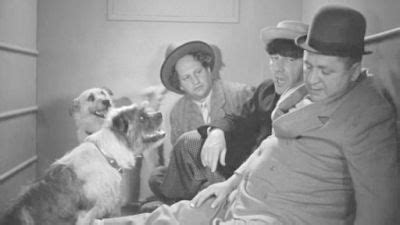 Watch Three Stooges Collection Season Episode From