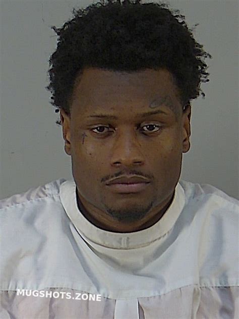 Costello Bernard Austin Lake County Mugshots Zone