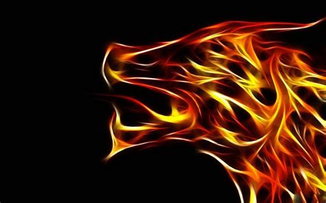 Cool Fire Wolf Wallpapers - Top Free Cool Fire Wolf Backgrounds ...