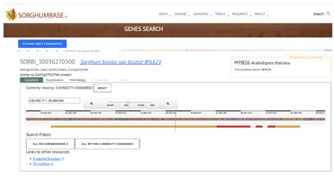 Sorghumbase