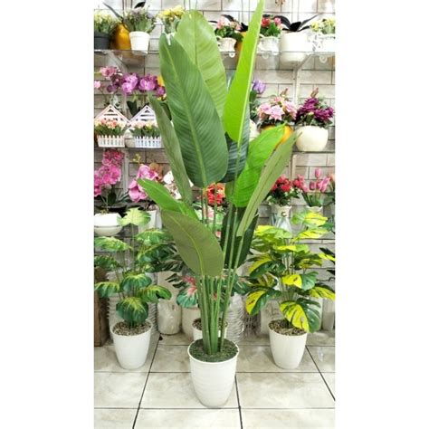 Jual Pohon Pisang Artificial Tinggi 150cm Shopee Indonesia