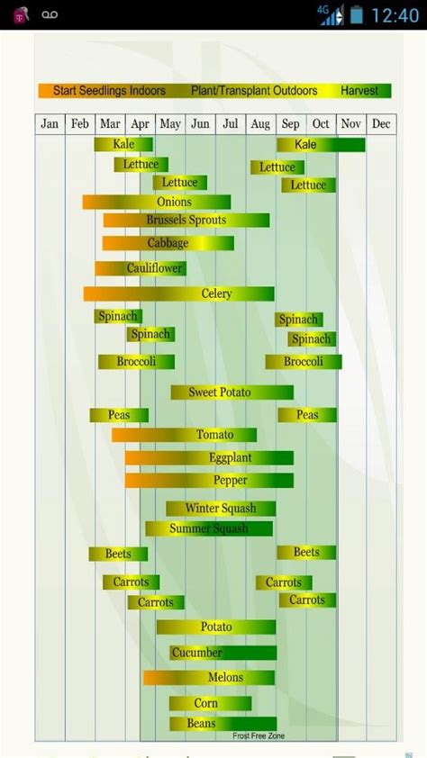 Zone 7 Veggie Planting Guide Garden Line Tea Garden Food Garden Garden Set Gardening Zones