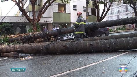 Saiba Como Solicitar Poda Ou Corte De Rvores Em Belo Horizonte Minas