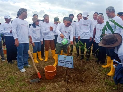 Ikut Tanam Bambu Di Eco Bamboo Park Magetan Aloe Dohong Upaya