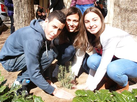 Ecoescuelas I E S Alonso de Ercilla Ocaña Plantación