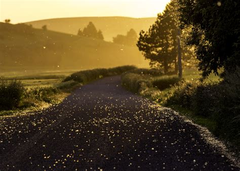 29 Photos That Capture The Magic Of Golden Hour 500px