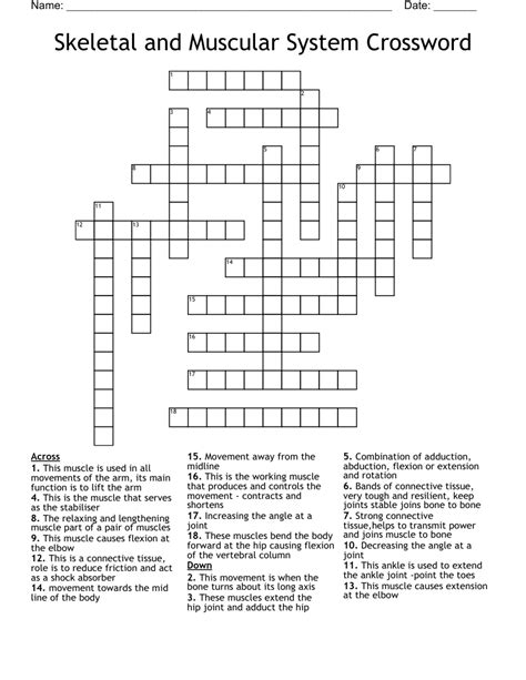 Skeletal And Muscular System Crossword Wordmint