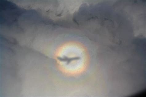 Glory (optical phenomenon) - Wikipedia