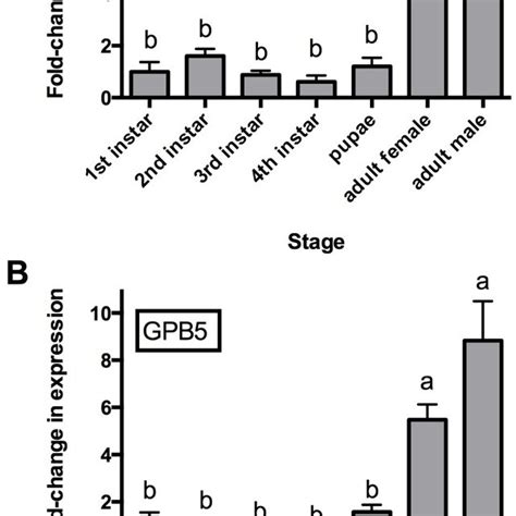 Expression Analysis Of Glycoprotein Hormone A Gpa And B Gpb