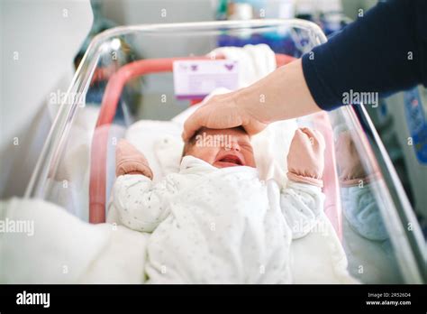 Newborn Crying Baby In Hospital Crib Father Trying To Calm Down Infant