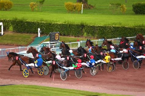 D Part Lautostart Au Trot Voici Les Num Ros Viter Au Trot Betschool