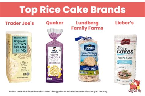 Cats and Rice Cakes: Safety, Nutrition, and Causes | Walk With Cat