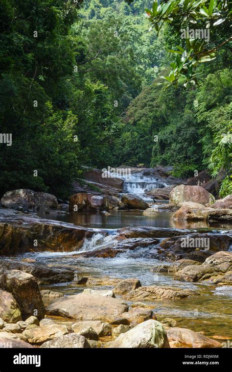 Kallar River Near Meenmutty Falls Ponmudi Hills Kerala India Stock