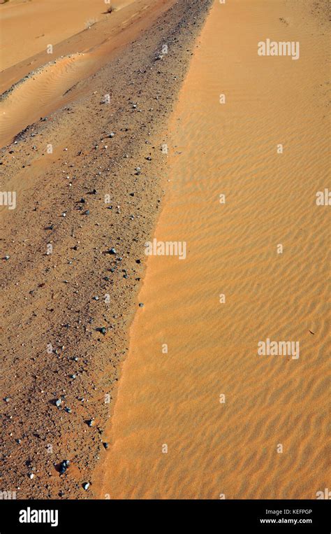 Wind-formed patterns in this collection of sand in the Arabian Desert ...