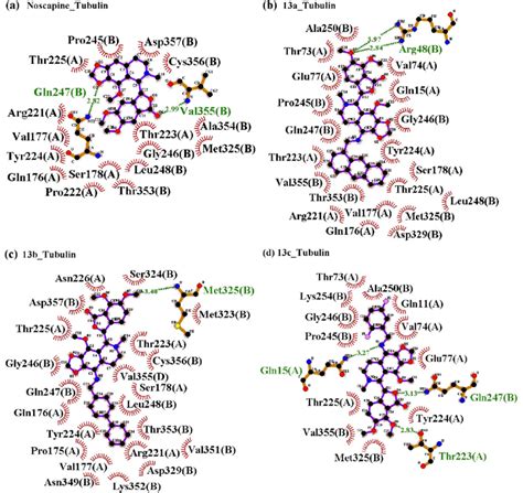 Ligand Protein Interaction Ligplot Analysis Revealed The Association