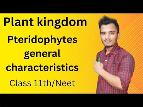 Plant Kingdom General Characteristics Of Pteridophytes Class 11th