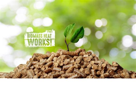 Biomass Heat Works