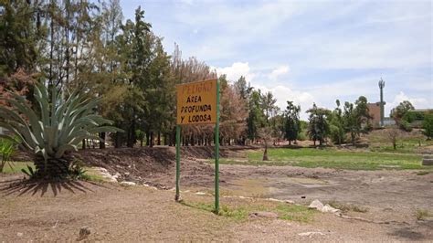 Pese a lluvias el lago del Parque Chapalita no se recupera Periódico AM