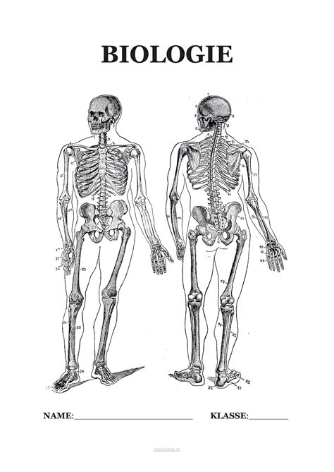 Deckblatt Biologie Zum Ausmalen Porn Sex Picture